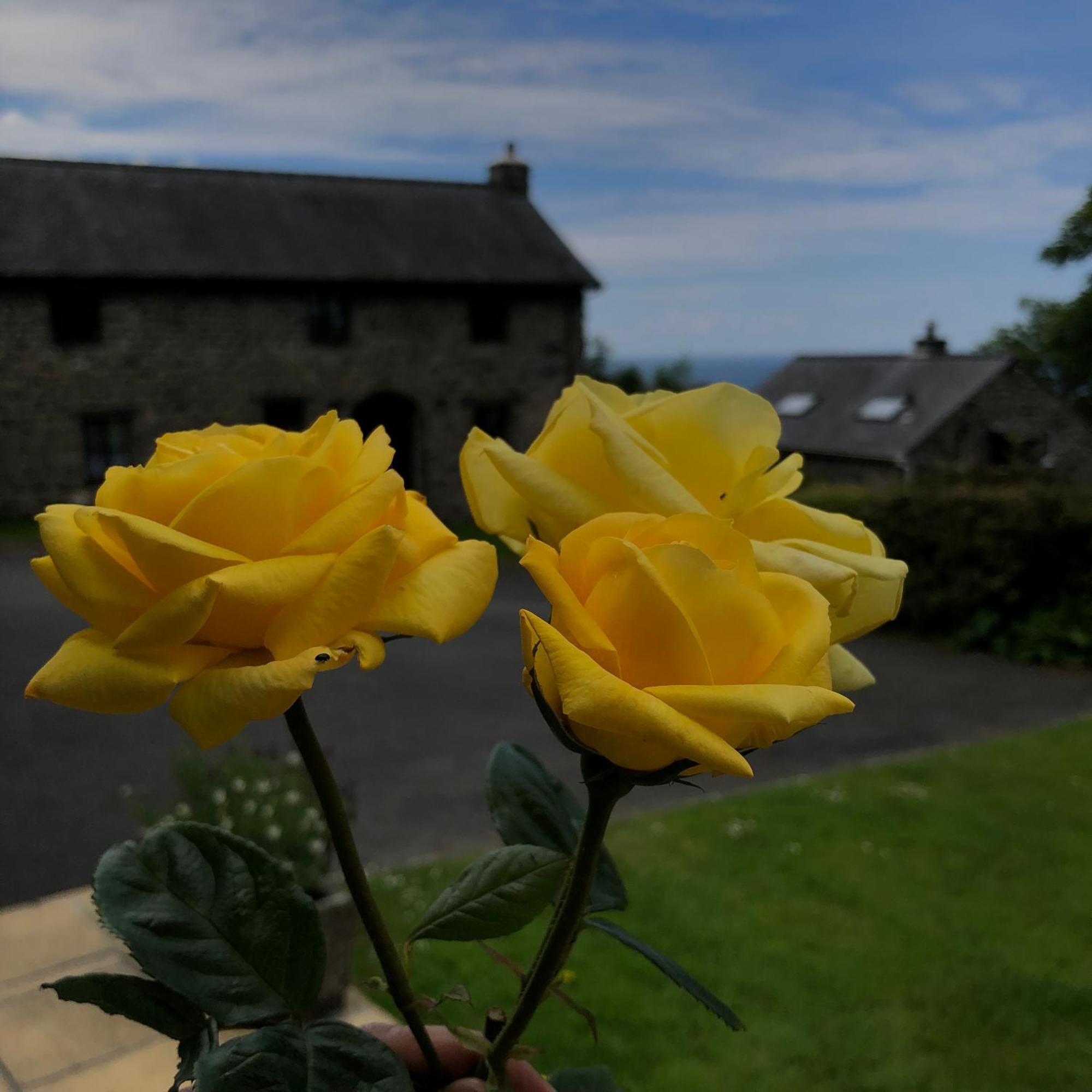 The Old Farmhouse B&B Dyffryn Ardudwy Esterno foto