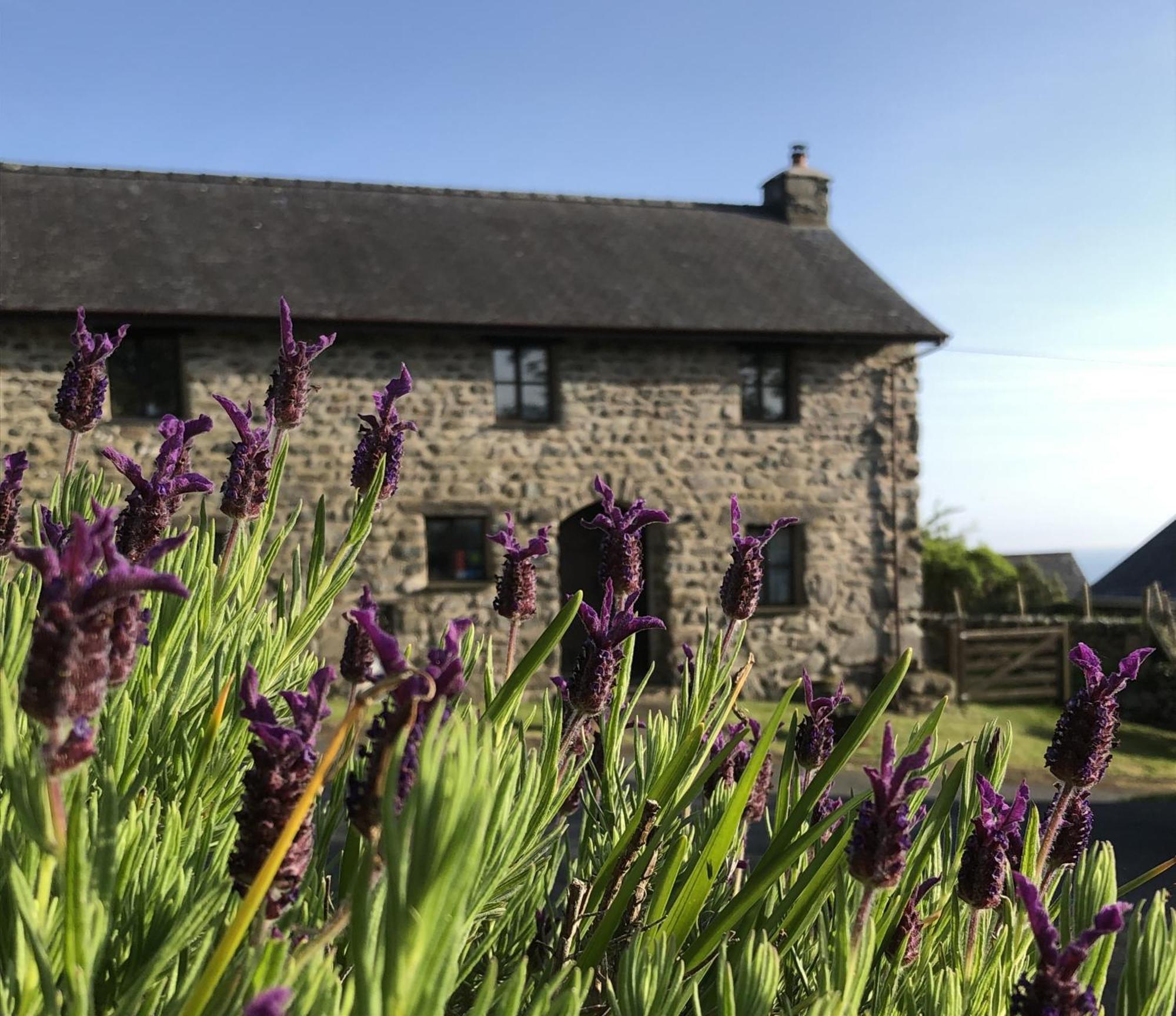 The Old Farmhouse B&B Dyffryn Ardudwy Esterno foto